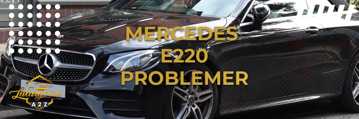 Mercedes E220 Problemer