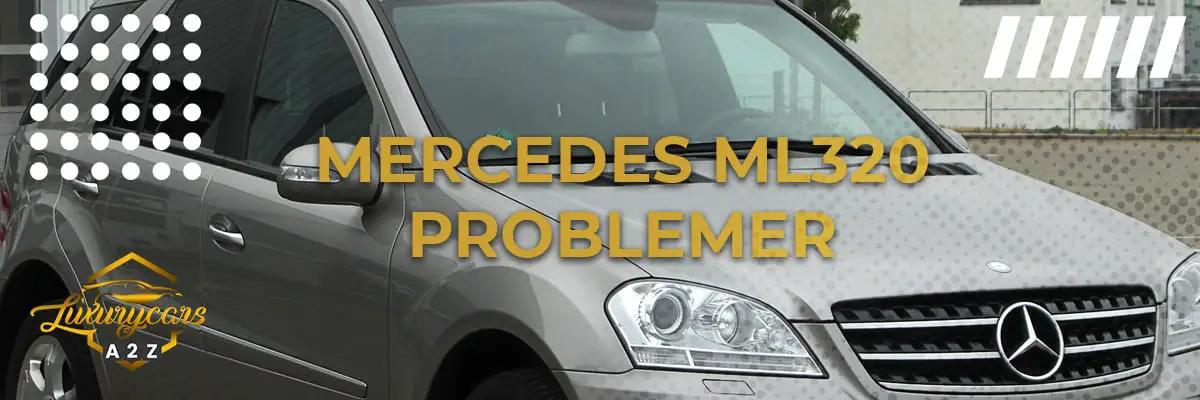 Mercedes ML320 Problemer