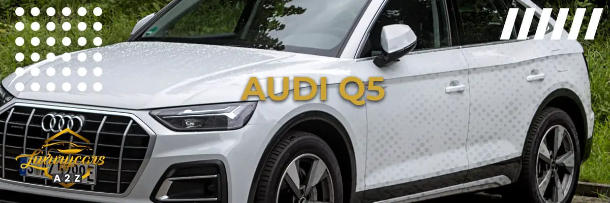 Beste året for Audi Q5